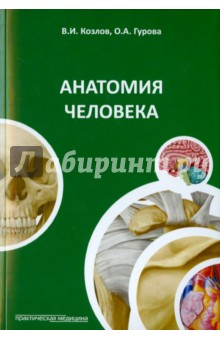 Анатомия человека. Краткий курс. ISBN: 978-5-98811-322-5