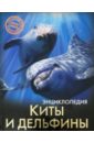 Савостин Михаил Киты и дельфины паркер стив киты и дельфины 100 фактов