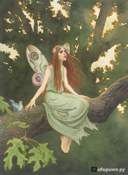 Иллюстрация 1 из 44 для Санта Клаус и его приключения - Лаймен Баум | Лабиринт - книги. Источник: Лабиринт