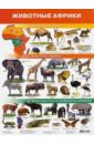 Плакат Животные Африки (2705) плакат животные африки