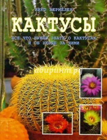 Кактусы