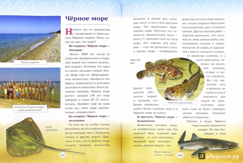 Иллюстрация 1 из 26 для В мире крымских легенд, или Большое морское путешествие - Алена Новикова | Лабиринт - книги. Источник: Лабиринт