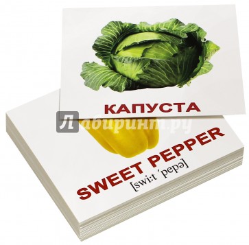 Комплект карточек МИНИ "Vegetables/Овощи" (40 штук)