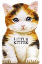 Caviezel Giovanni Little kitten пучкова юлия яковлевна забавные истории котенка рэдди на английском языке