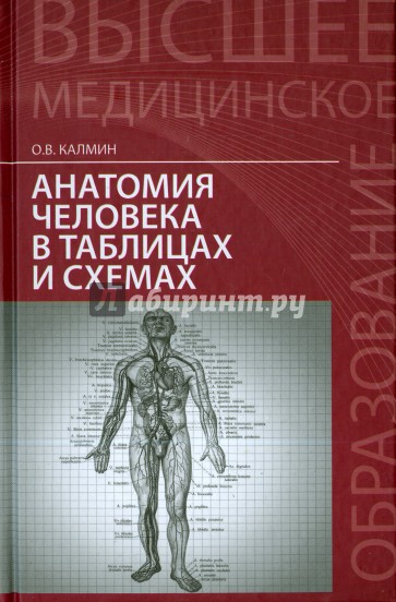 Анатомия человека в таблицах и схемах. Учебное пособие