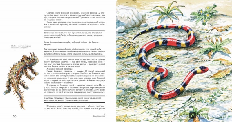 Иллюстрация 3 из 28 для Энциклопедия животного мира | Лабиринт - книги. Источник: Лабиринт