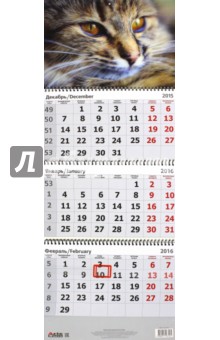 2016 Календарь квартальный 3D 