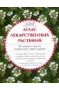 Сафонов Николай Николаевич Атлас лекарственных растений. 900 домашних рецептов, которые помогут обрести здоровье