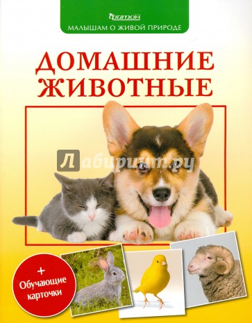 Домашние животные 3+