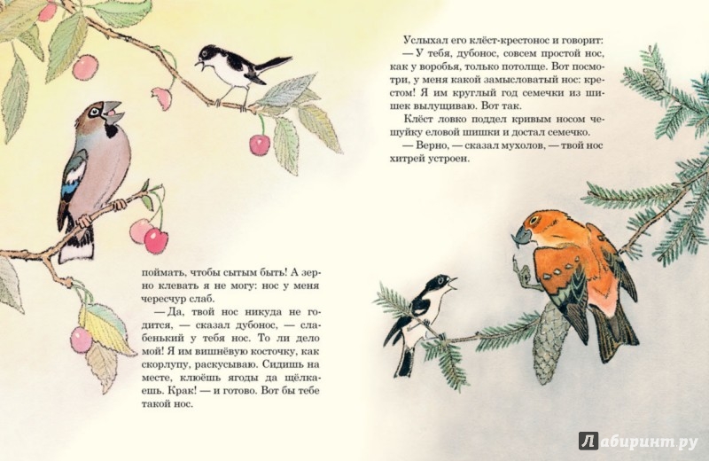 Иллюстрация 2 из 51 для Чей нос лучше - Виталий Бианки | Лабиринт - книги. Источник: Лабиринт