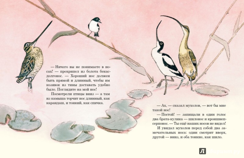 Иллюстрация 3 из 51 для Чей нос лучше - Виталий Бианки | Лабиринт - книги. Источник: Лабиринт