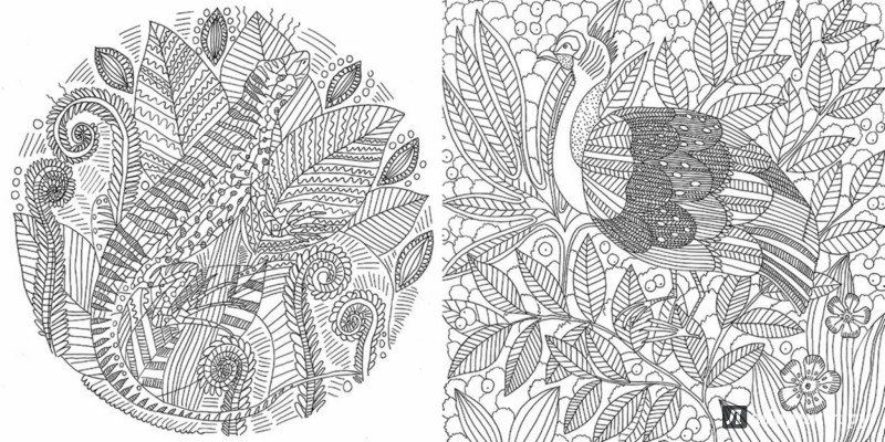 Иллюстрация 5 из 11 для Лес-чародей. Раскрась свой мир и добавь жизни цвета | Лабиринт - книги. Источник: Лабиринт
