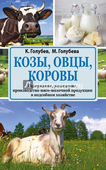 Козы. Овцы. Коровы