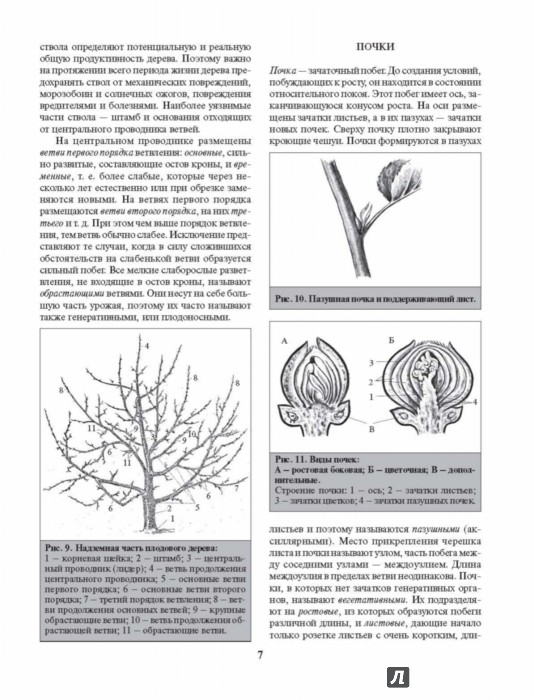 Кудрявец Р.П.. Книги онлайн