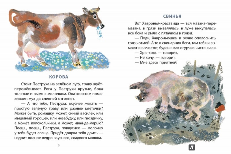 Иллюстрация 1 из 35 для На нашем дворе - Евгений Чарушин | Лабиринт - книги. Источник: Лабиринт