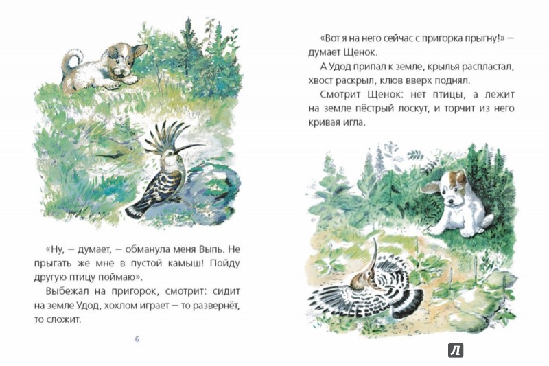 Иллюстрация 2 из 39 для Первая охота - Виталий Бианки | Лабиринт - книги. Источник: Лабиринт