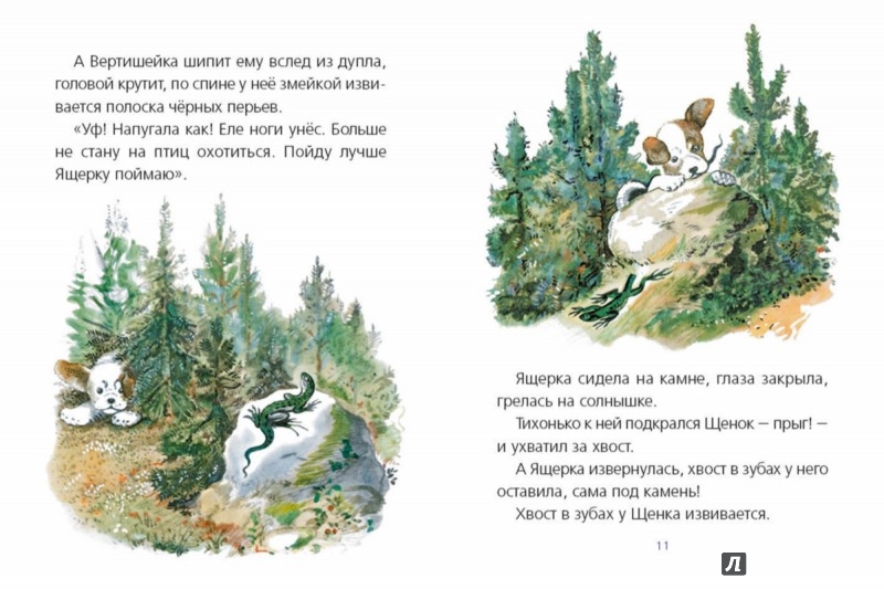 Иллюстрация 3 из 39 для Первая охота - Виталий Бианки | Лабиринт - книги. Источник: Лабиринт