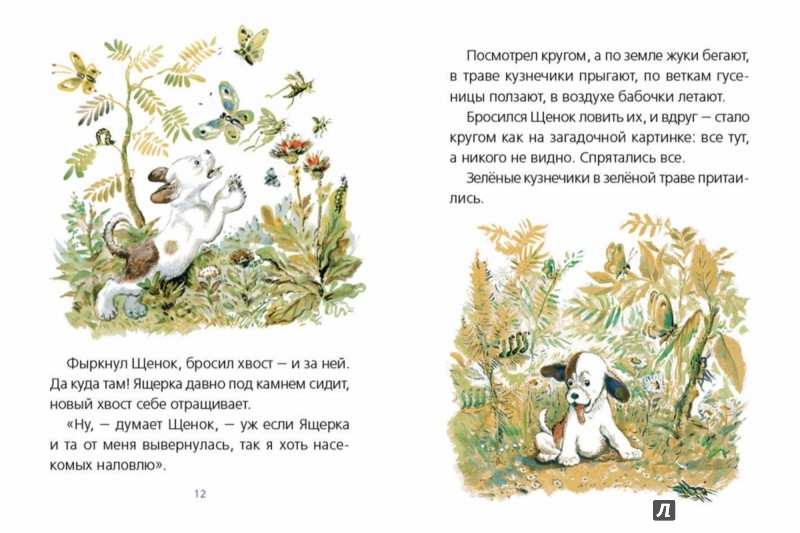 Иллюстрация 4 из 39 для Первая охота - Виталий Бианки | Лабиринт - книги. Источник: Лабиринт