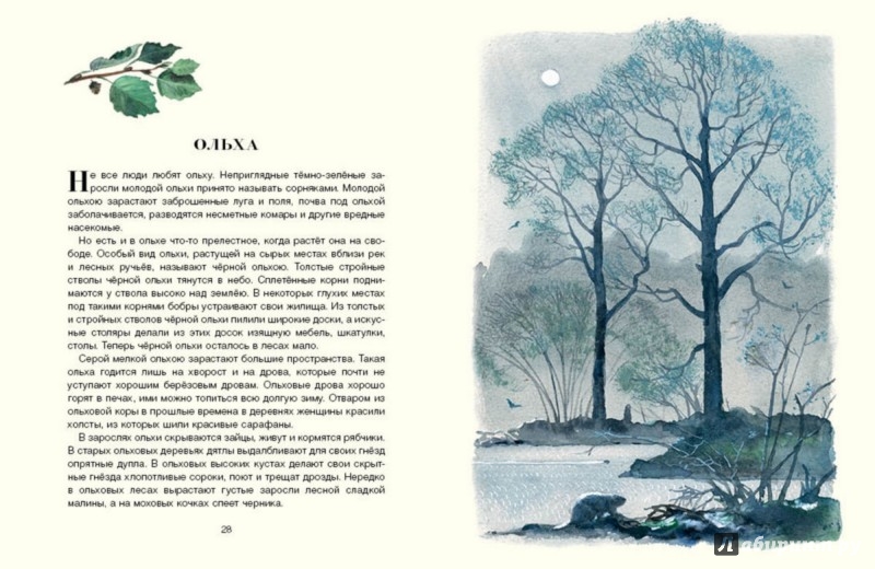 Иллюстрация 5 из 49 для Русский лес - Иван Соколов-Микитов | Лабиринт - книги. Источник: Лабиринт