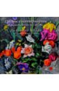 версальские грезы александра бенуа Цветы и натюрморты Александра Бенуа ди Стетто