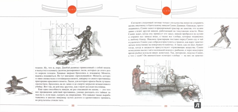 Иллюстрация 1 из 12 для Легенды ниндзя - Николай Рудаков | Лабиринт - книги. Источник: Лабиринт