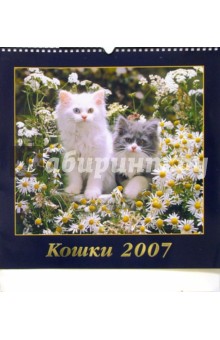 Календарь: Кошки 2007 год.