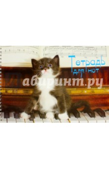 Тетрадь для нот. Играющий котенок. 32 листа (С0213-11).