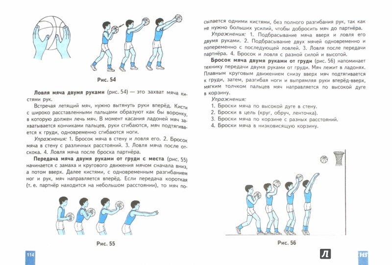 Учебник физической культуры 7 класс скачать