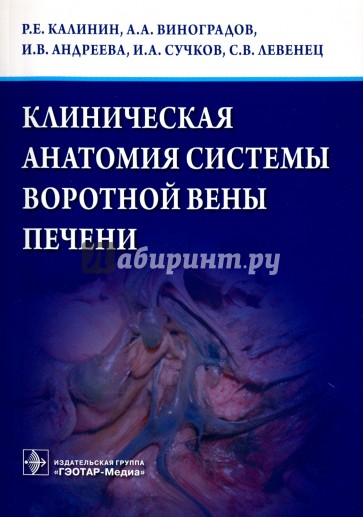 Клиническая анатомия системы воротной вены печени