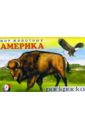 Мир животных: Америка (раскраска) мир животных африка раскраска