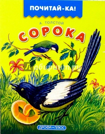 Сорока