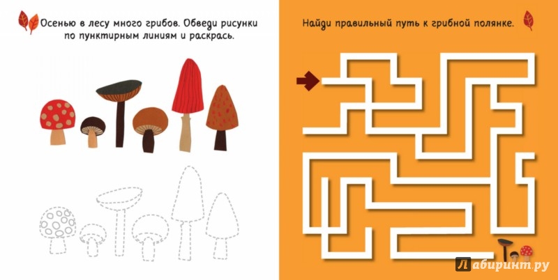 Иллюстрация 5 из 28 для Привет, осень! - Анхельс Наварро | Лабиринт - книги. Источник: Лабиринт