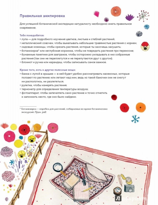 Иллюстрация 6 из 100 для Волшебные цветы. Мой гербарий. Собираем и изучаем садовые растения - Стефани Циск | Лабиринт - книги. Источник: Лабиринт