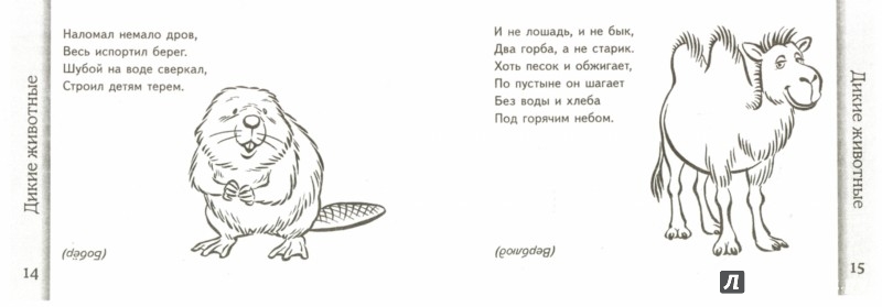 Иллюстрация 1 из 5 для Загадки о животных - Валентина Мирясова | Лабиринт - книги. Источник: Лабиринт