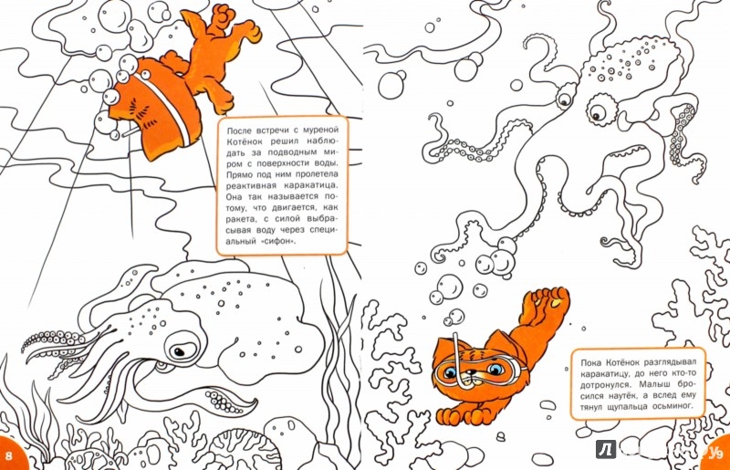 Иллюстрация 1 из 13 для Знакомимся с подводным миром. Развивающие раскраски для детей 5-6 лет - Вениамин Мёдов | Лабиринт - книги. Источник: Лабиринт