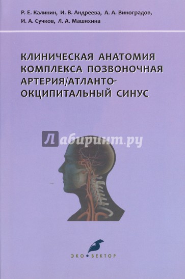 Клиническая анатомия комплекса позвоночная артерия