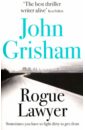 Grisham John Rogue Lawyer sebastian l half sick of shadows