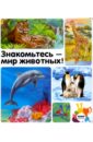 Знакомьтесь - мир животных! голобродский кирилл знакомьтесь ubuntu