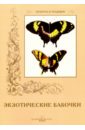 Обложка Экзотические бабочки