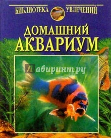 Домашний аквариум (2 рыбки)