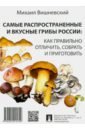 Вишневский Михаил Владимирович Самые распространенные и вкусные грибы России. Как правильно отличить, собрать и приготовить