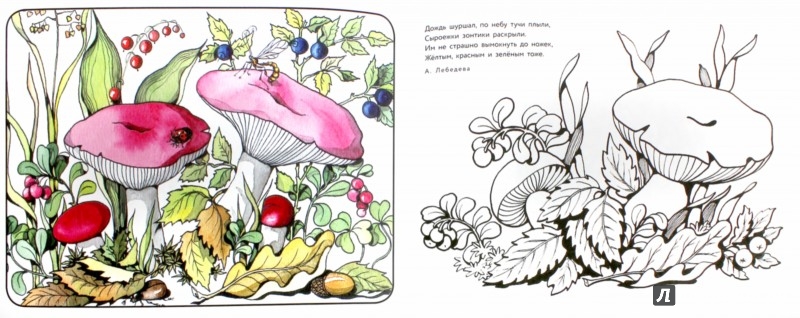 Иллюстрация 1 из 28 для Калинка да малинка. Альбом для раскрашивания | Лабиринт - книги. Источник: Лабиринт