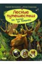 Лесные путешествия. От России до Америки