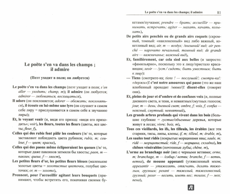 Иллюстрация 1 из 24 для Невидимая флейта. 55 французских стихотворений | Лабиринт - книги. Источник: Лабиринт