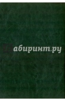 Ежедневник датированный на 2017 год 