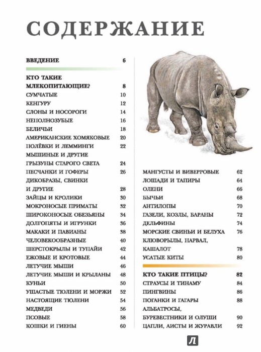 Иллюстрация 4 из 15 для Животные | Лабиринт - книги. Источник: Лабиринт