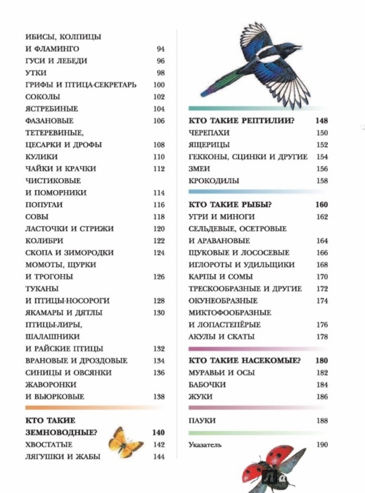 Иллюстрация 5 из 15 для Животные | Лабиринт - книги. Источник: Лабиринт
