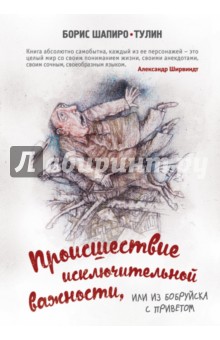 Обложка книги Происшествие исключительной важности, или из Бобруйска с приветом, Шапиро-Тулин Борис