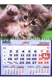 Календарь одноблочный на 2017 год, средний 