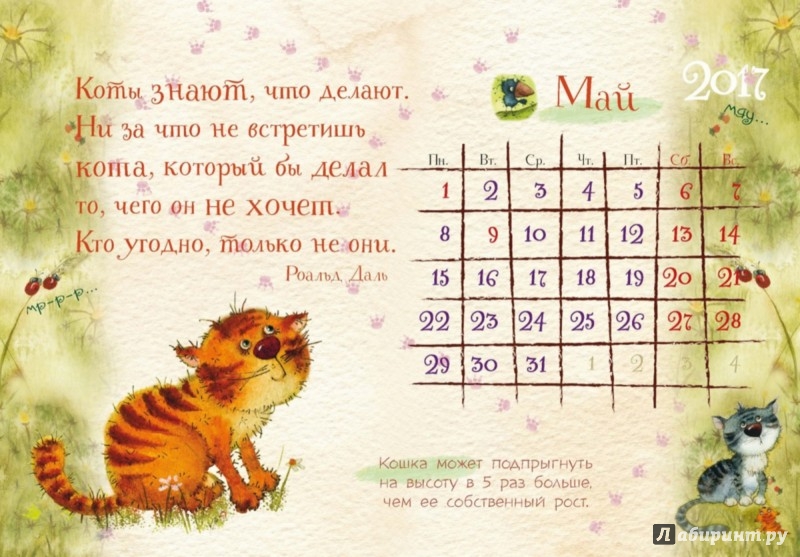 Иллюстрация 2 из 36 для Календарь-домик 2017. 365 дней с котом | Лабиринт - сувениры. Источник: Лабиринт